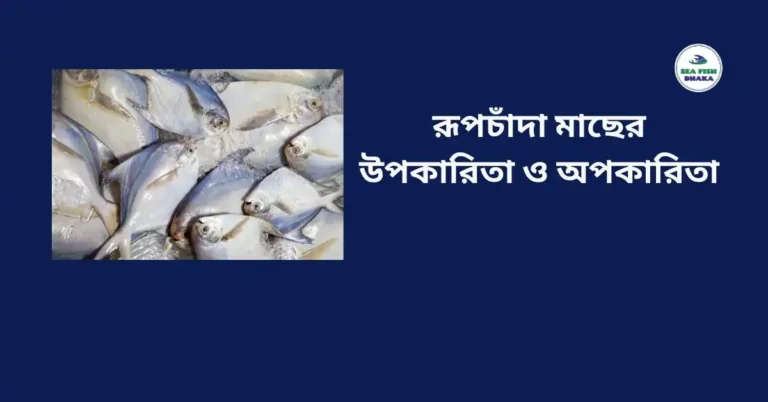 রূপচাঁদা মাছের উপকারিতা ও অপকারিতা