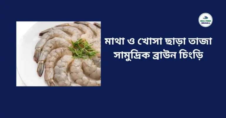 মাথা ও খোসা ছাড়া তাজা সামুদ্রিক ব্রাউন চিংড়ি