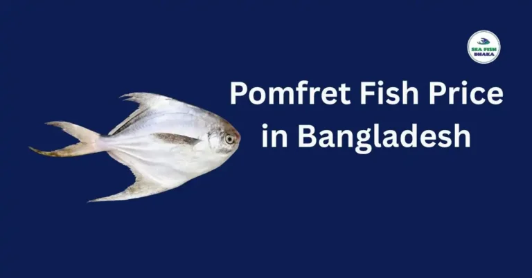 Pomfret Fish Price in Bangladesh