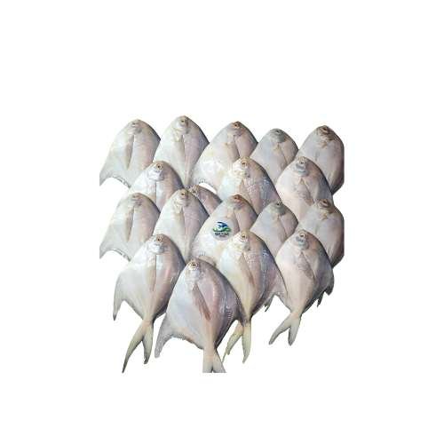 Rupchanda Fish – রূপচাঁদা মাছ (White & Black) 1KG =10-12 pcs