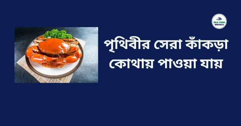 পৃথিবীর সেরা কাঁকড়া কোথায় পাওয়া যায়