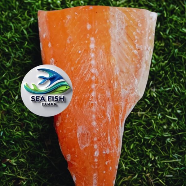 রুপচাদা (3) Norway Salmon Fish - নরওয়ে স্যালমন
