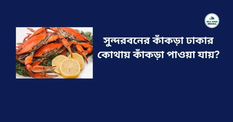 সুন্দরবনের কাঁকড়া ঢাকার কোথায় কাঁকড়া পাওয়া যায়