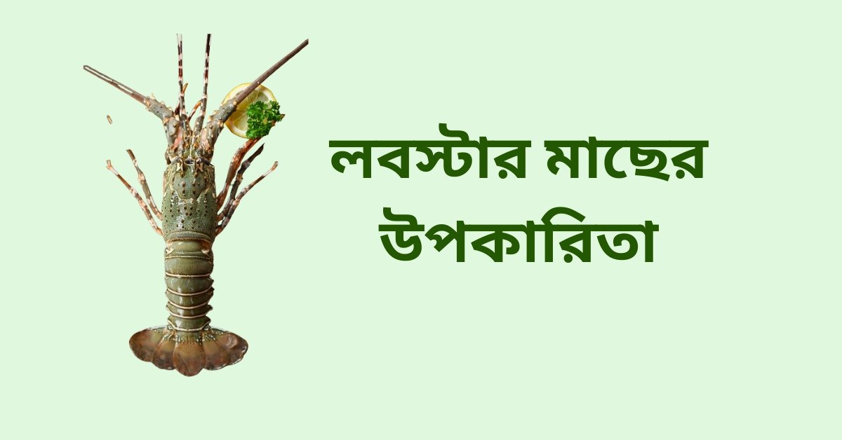 লবস্টার মাছের উপকারিতা