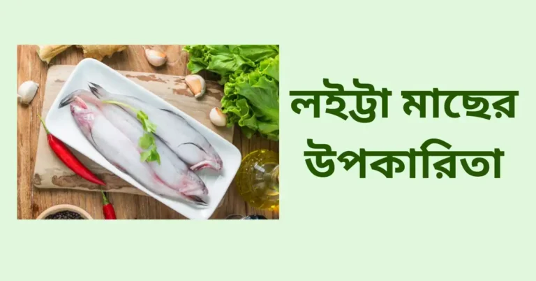 লইট্টা মাছের উপকারিতা
