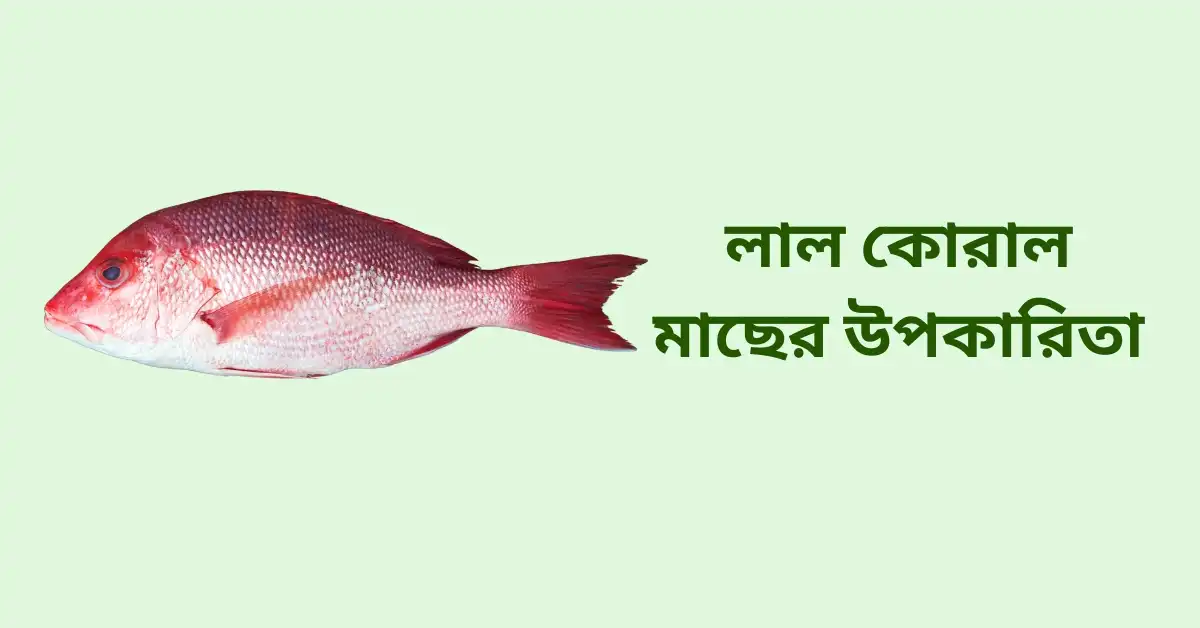 লাল কোরাল মাছের উপকারিতা
