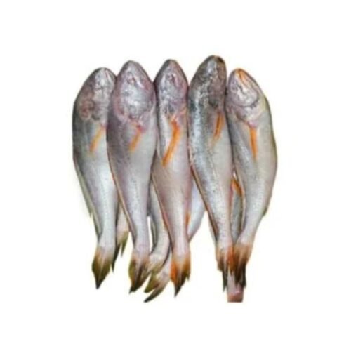 Pama fish - পোয়া মাছ (৫-৬ পিসে কেজি)