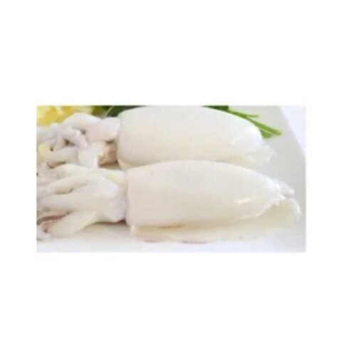 Squid Fish Big Size– 1KG =5-6 pcs